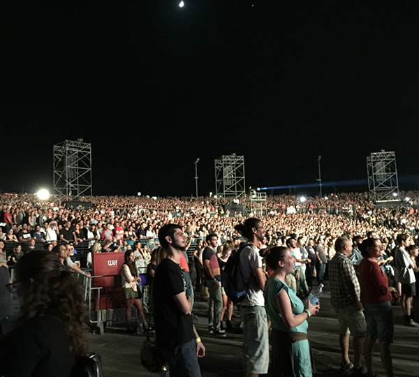 זאפה LIVE פארק