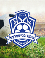 איחוד בני שפרעם